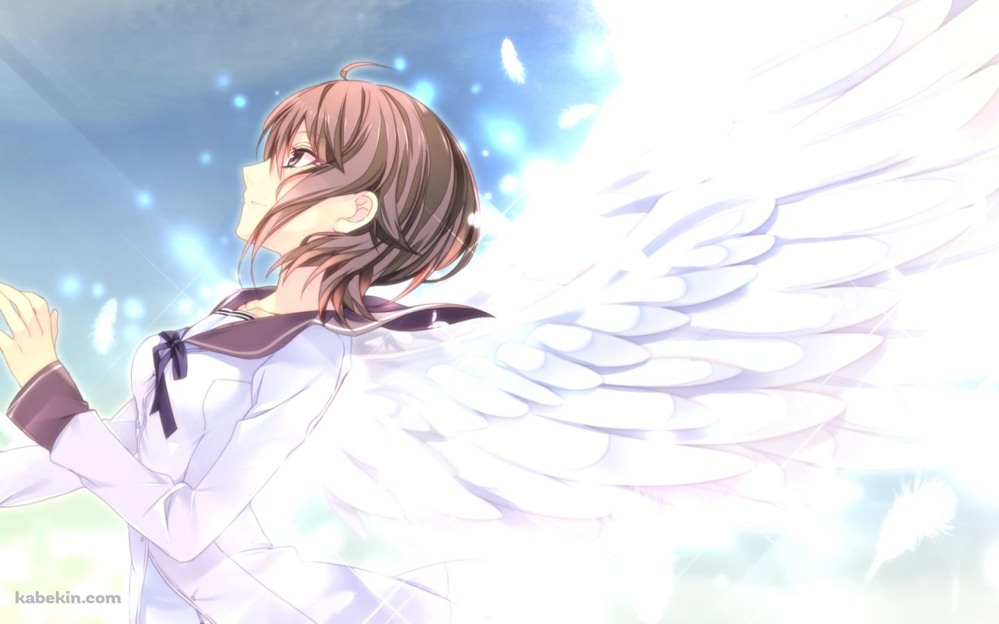 白い羽が生えた羽白 光奈 (はじろ みな) / 願いの欠片と白銀の契約者の壁紙(1440px x 900px) 高画質 PC・デスクトップ用