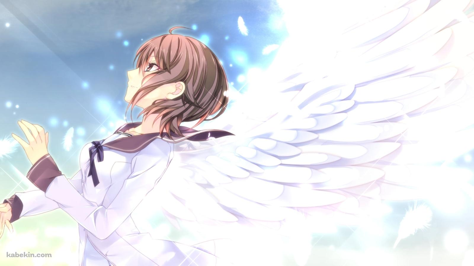 白い羽が生えた羽白 光奈 (はじろ みな) / 願いの欠片と白銀の契約者の壁紙(1600px x 900px) 高画質 PC・デスクトップ用