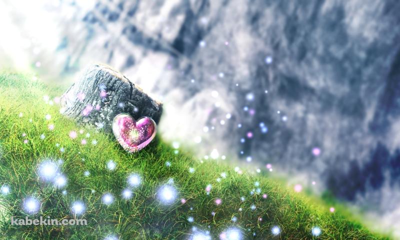 ハート型のアクセと切り株の壁紙(800px x 480px) 高画質 PC・デスクトップ用