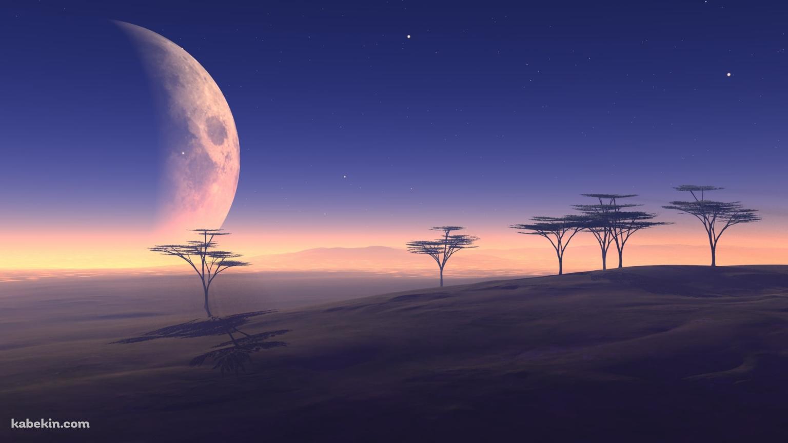 枯れた土地と大きな月の壁紙(1536px x 864px) 高画質 PC・デスクトップ用