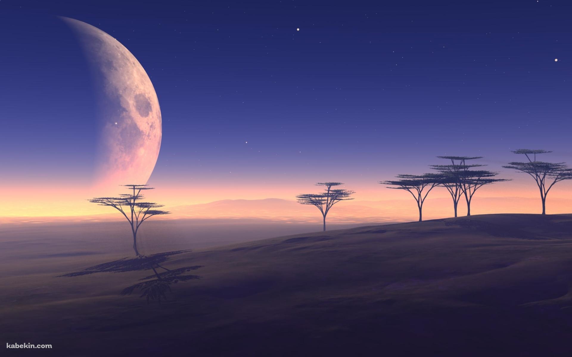 枯れた土地と大きな月の壁紙(1920px x 1200px) 高画質 PC・デスクトップ用