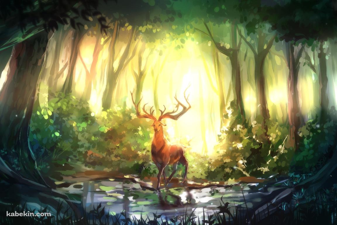 森の中 / 角が立派な雄鹿 / 油絵の壁紙(1152px x 768px) 高画質 PC・デスクトップ用