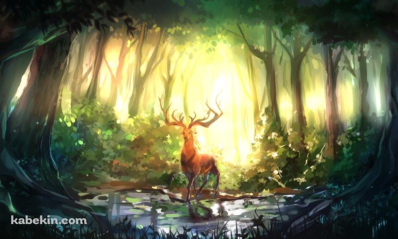 森の中 / 角が立派な雄鹿 / 油絵の壁紙(800px x 480px) 高画質 PC・デスクトップ用