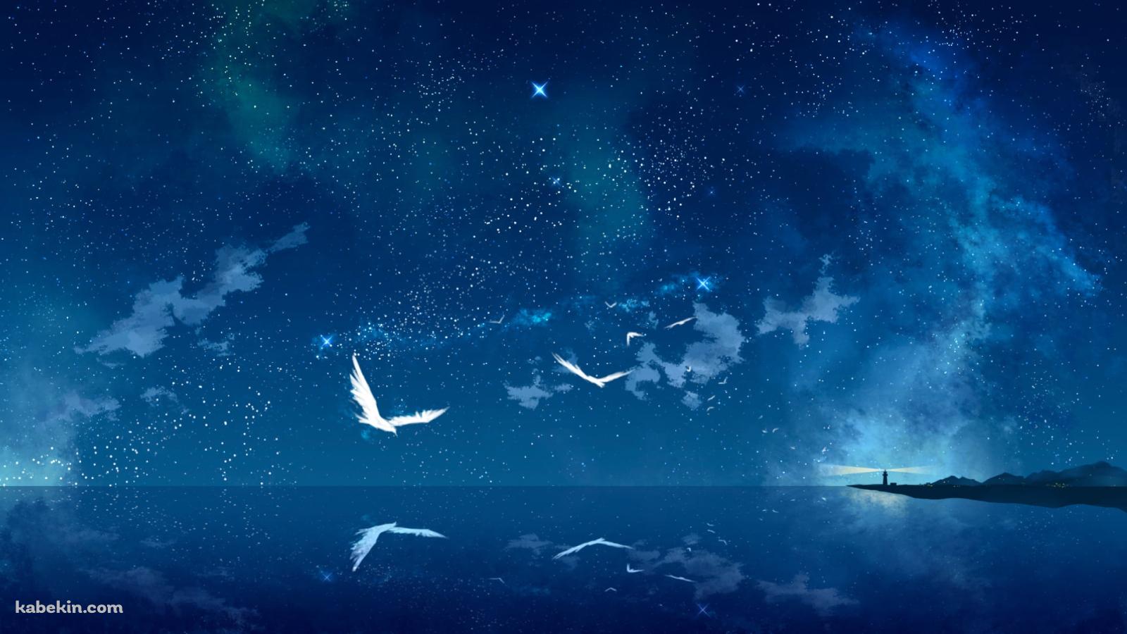 青い海と白い鳥と海を照らす灯台の壁紙(1600px x 900px) 高画質 PC・デスクトップ用