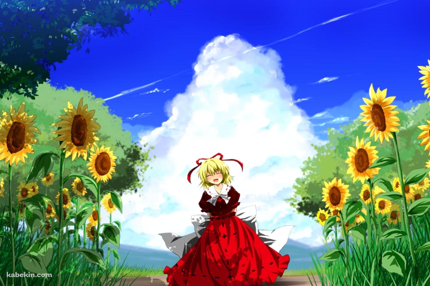向日葵と笑顔のメディスン・メランコリーと青空 / 東方の壁紙(1440px x 960px) 高画質 PC・デスクトップ用