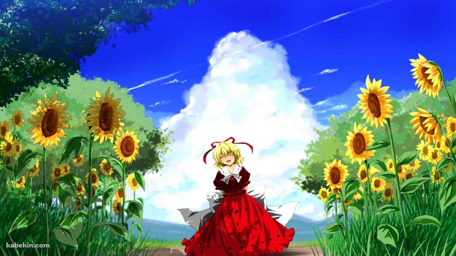 向日葵と笑顔のメディスン・メランコリーと青空 / 東方の壁紙(1600px x 900px) 高画質 PC・デスクトップ用