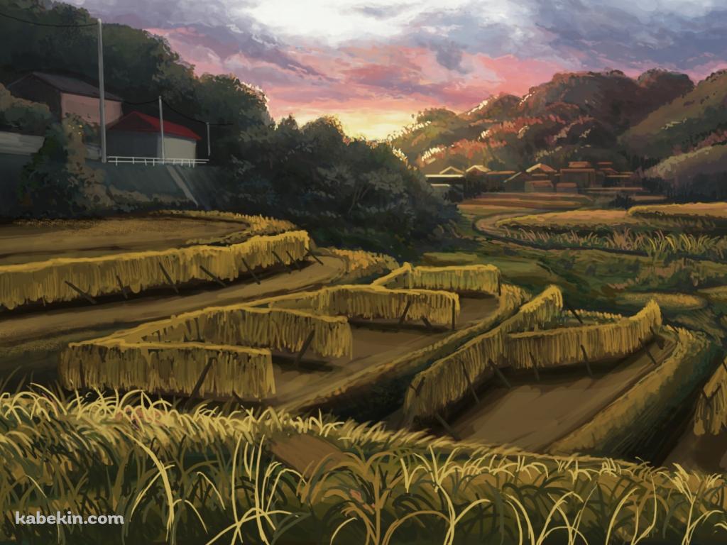 暮れ行く田園風景 / 田舎 / 段々畑の壁紙(1024px x 768px) 高画質 PC・デスクトップ用