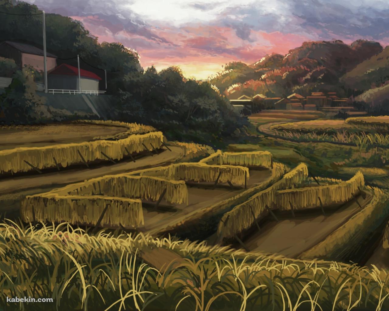 暮れ行く田園風景 / 田舎 / 段々畑の壁紙(1280px x 1024px) 高画質 PC・デスクトップ用