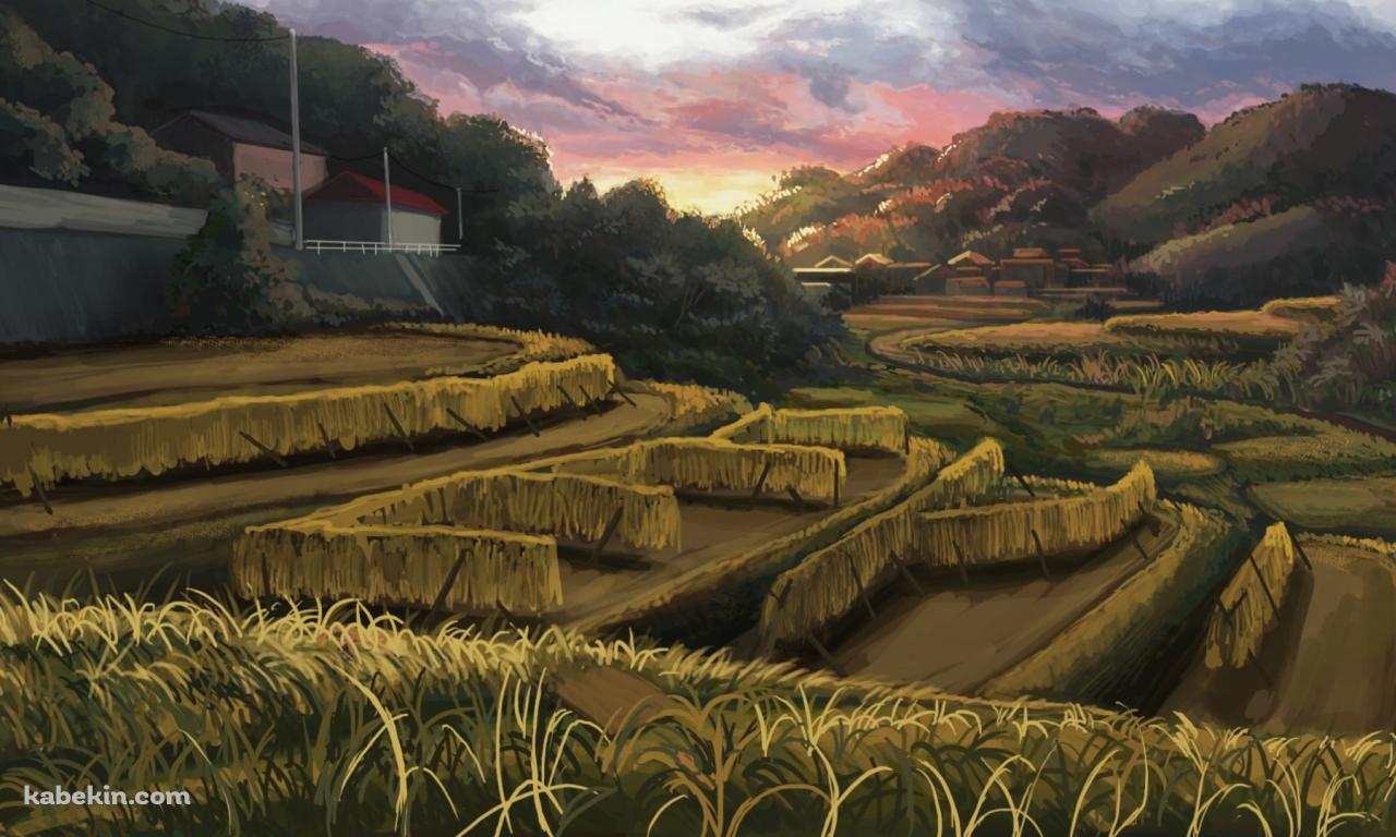 暮れ行く田園風景 / 田舎 / 段々畑の壁紙(1280px x 768px) 高画質 PC・デスクトップ用