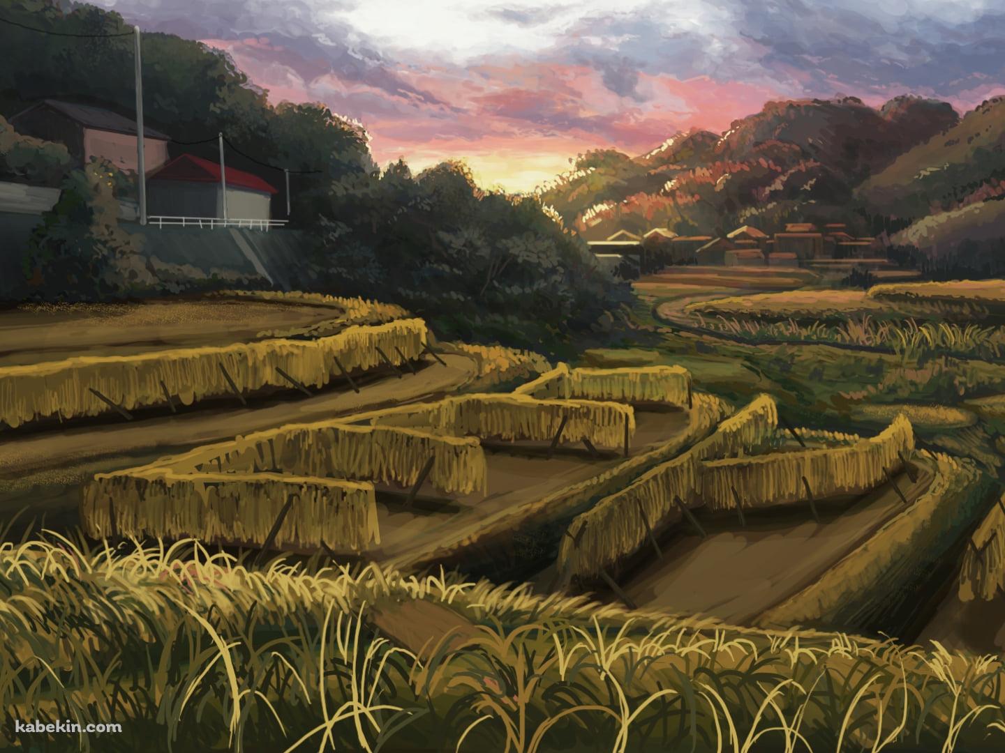 暮れ行く田園風景 / 田舎 / 段々畑の壁紙(1440px x 1080px) 高画質 PC・デスクトップ用