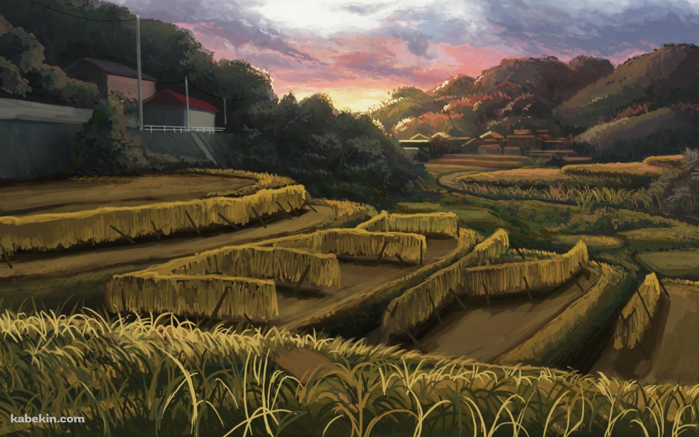 暮れ行く田園風景 / 田舎 / 段々畑の壁紙(1440px x 900px) 高画質 PC・デスクトップ用