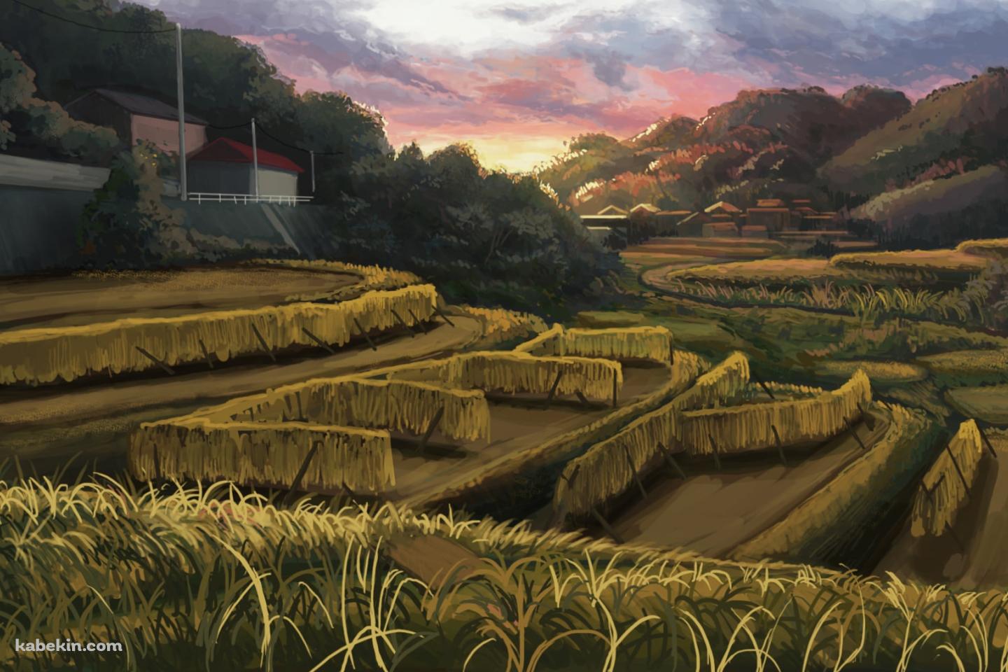 暮れ行く田園風景 / 田舎 / 段々畑の壁紙(1440px x 960px) 高画質 PC・デスクトップ用