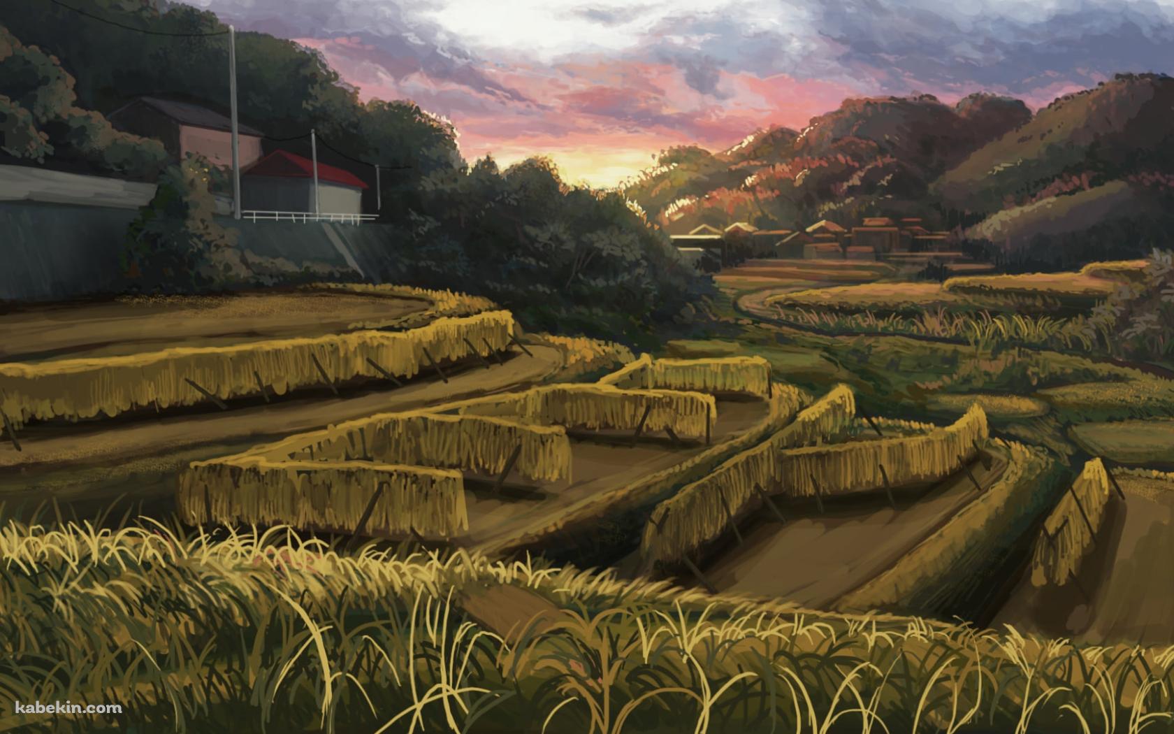 暮れ行く田園風景 / 田舎 / 段々畑の壁紙(1680px x 1050px) 高画質 PC・デスクトップ用