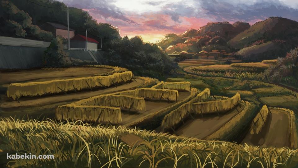 暮れ行く田園風景 / 田舎 / 段々畑の壁紙(960px x 540px) 高画質 PC・デスクトップ用