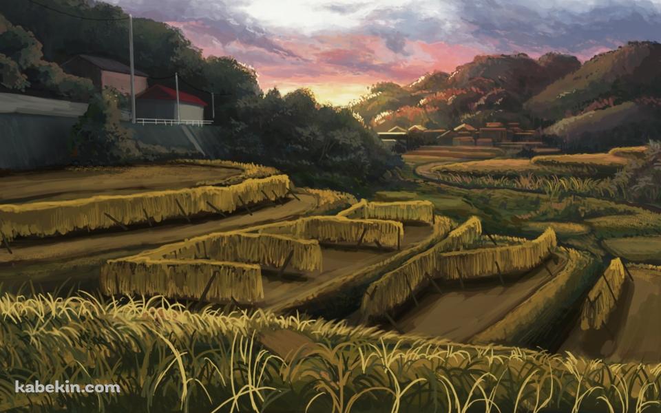 暮れ行く田園風景 / 田舎 / 段々畑の壁紙(960px x 600px) 高画質 PC・デスクトップ用