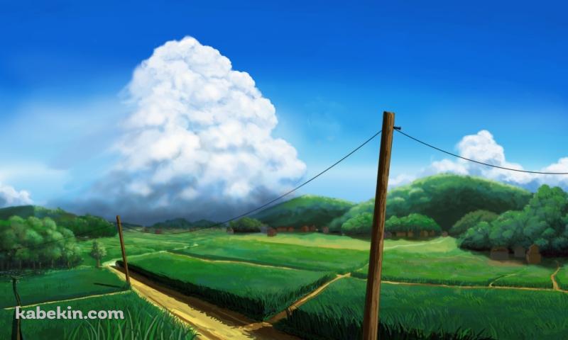 綺麗な田園風景と大きな白い雲 / 夏の壁紙(800px x 480px) 高画質 PC・デスクトップ用