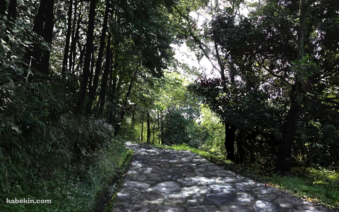 石のレンガの山道 / 緑の木々の壁紙(1152px x 720px) 高画質 PC・デスクトップ用