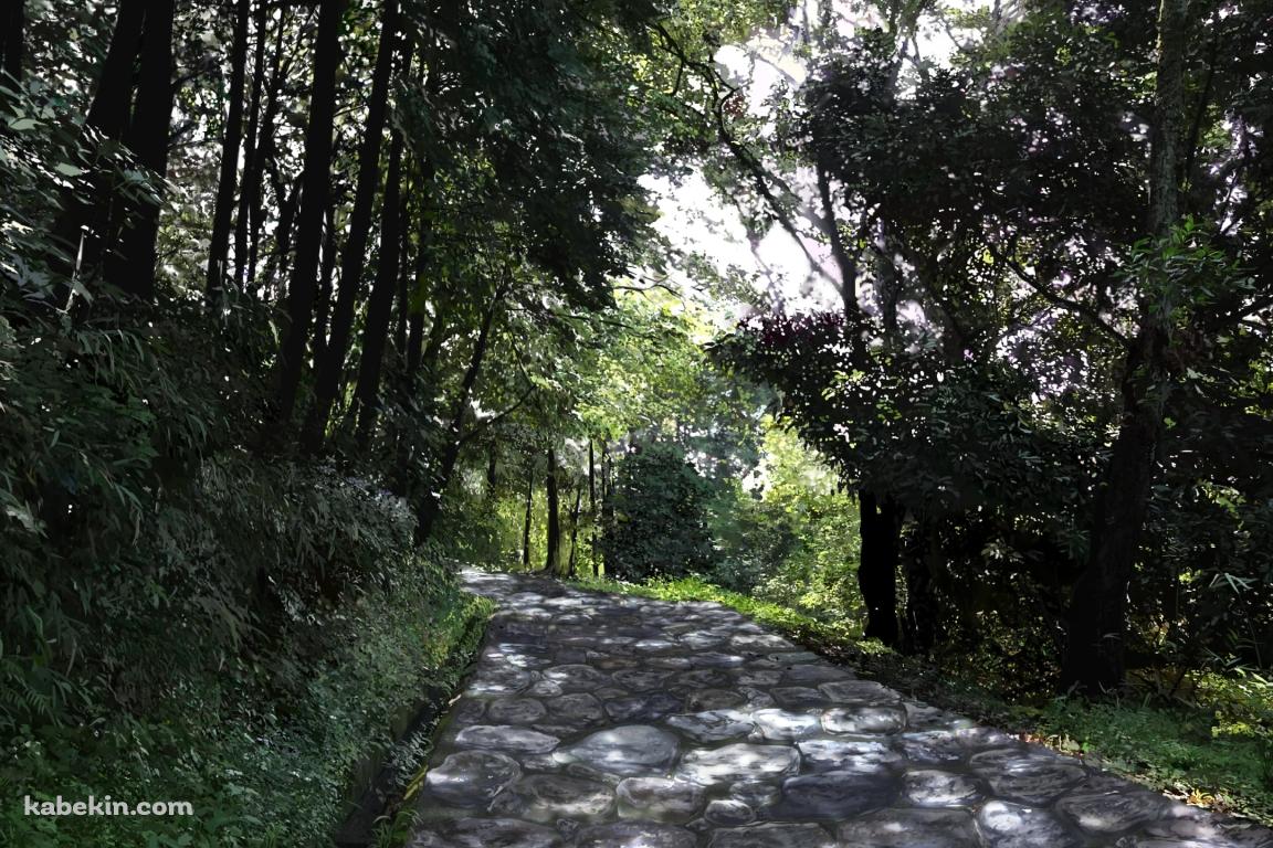 石のレンガの山道 / 緑の木々の壁紙(1152px x 768px) 高画質 PC・デスクトップ用