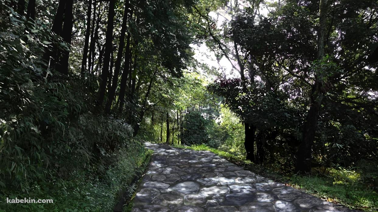 石のレンガの山道 / 緑の木々の壁紙(1242px x 698px) 高画質 PC・デスクトップ用
