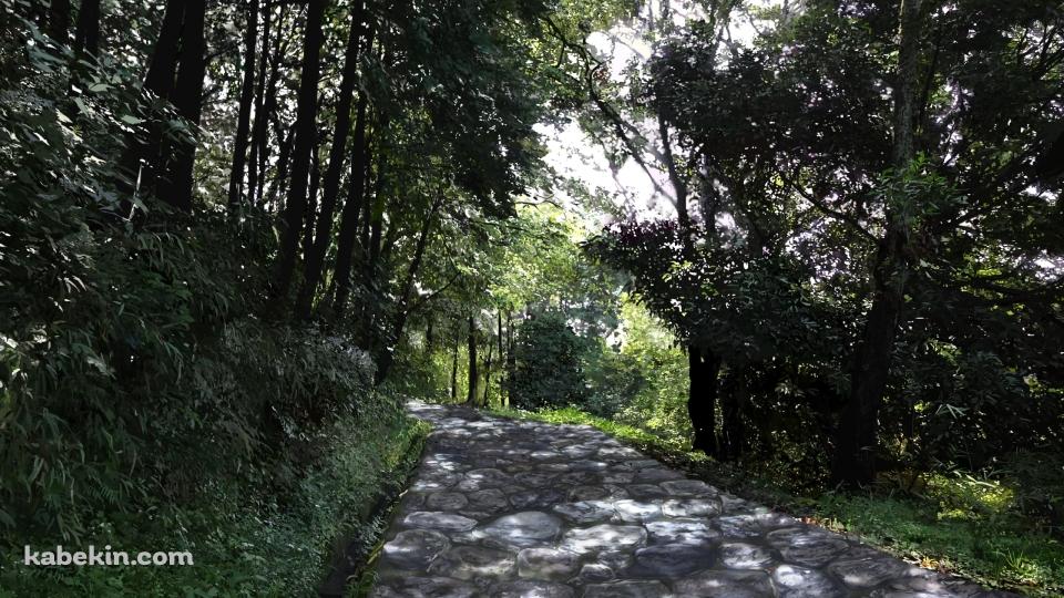 石のレンガの山道 / 緑の木々の壁紙(960px x 540px) 高画質 PC・デスクトップ用