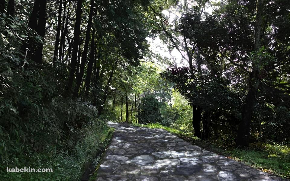 石のレンガの山道 / 緑の木々の壁紙(960px x 600px) 高画質 PC・デスクトップ用