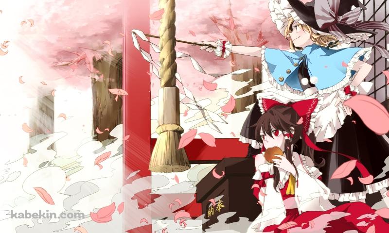 ドラ焼きを食べる博麗霊夢とお祓い棒を持つ霧雨魔理沙 / 桜 / 東方の壁紙(800px x 480px) 高画質 PC・デスクトップ用