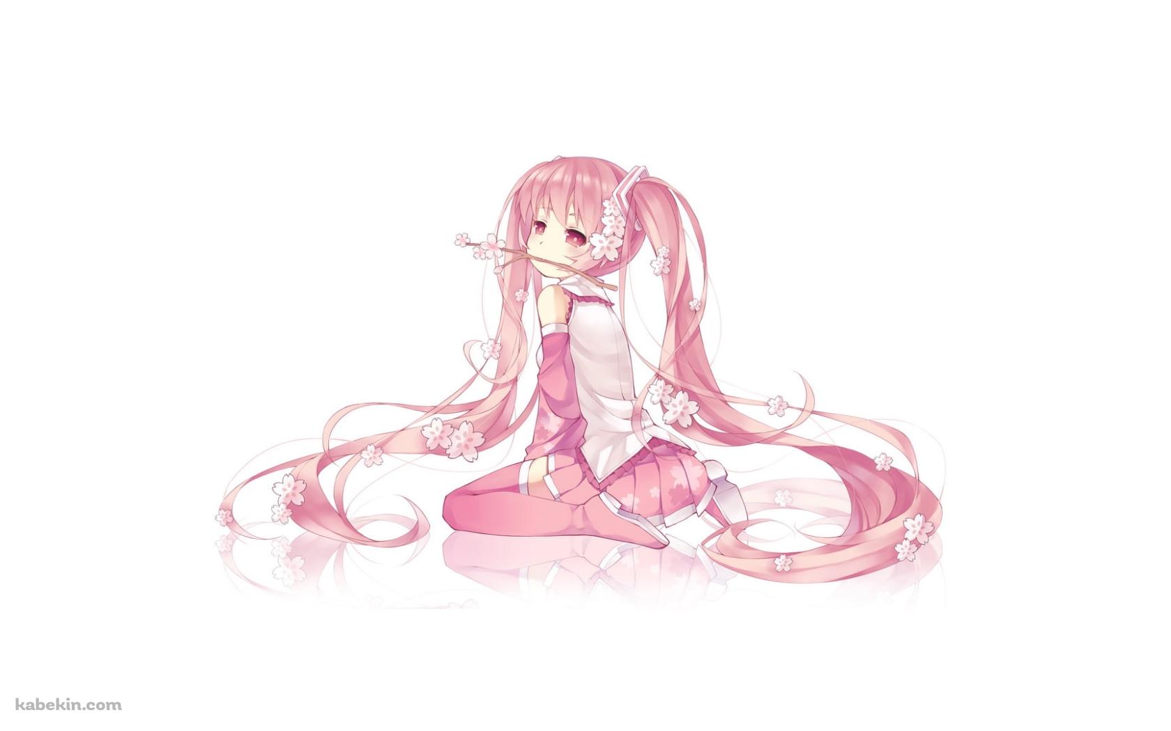 桜の枝を咥える可愛い桜ミク / 初音ミク / ボカロの壁紙(1680px x 1050px) 高画質 PC・デスクトップ用
