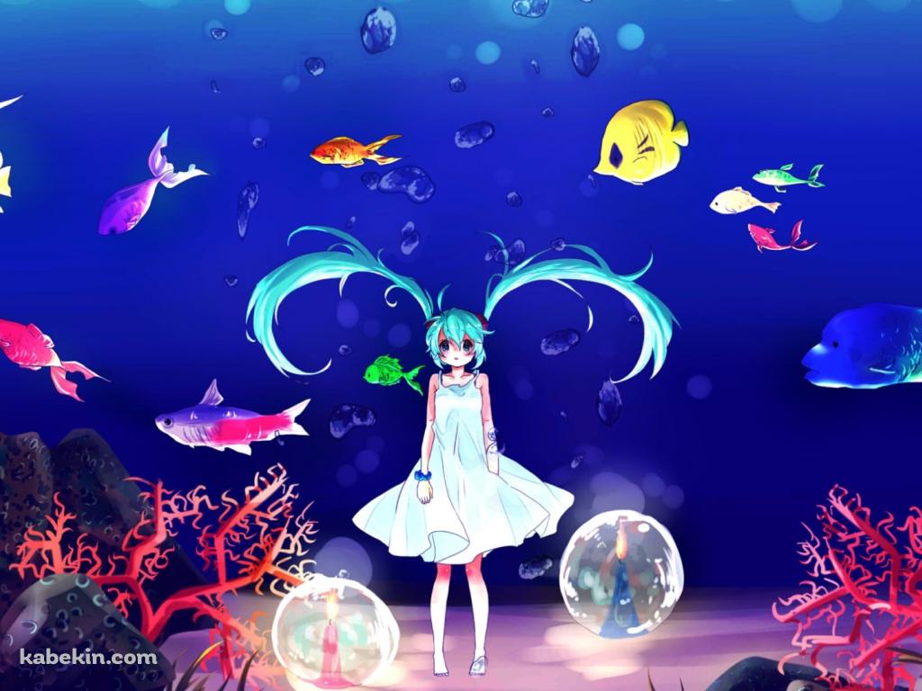 海底に立つ初音ミク / 熱帯魚 / 珊瑚 / ボカロの壁紙(1024px x 768px) 高画質 PC・デスクトップ用