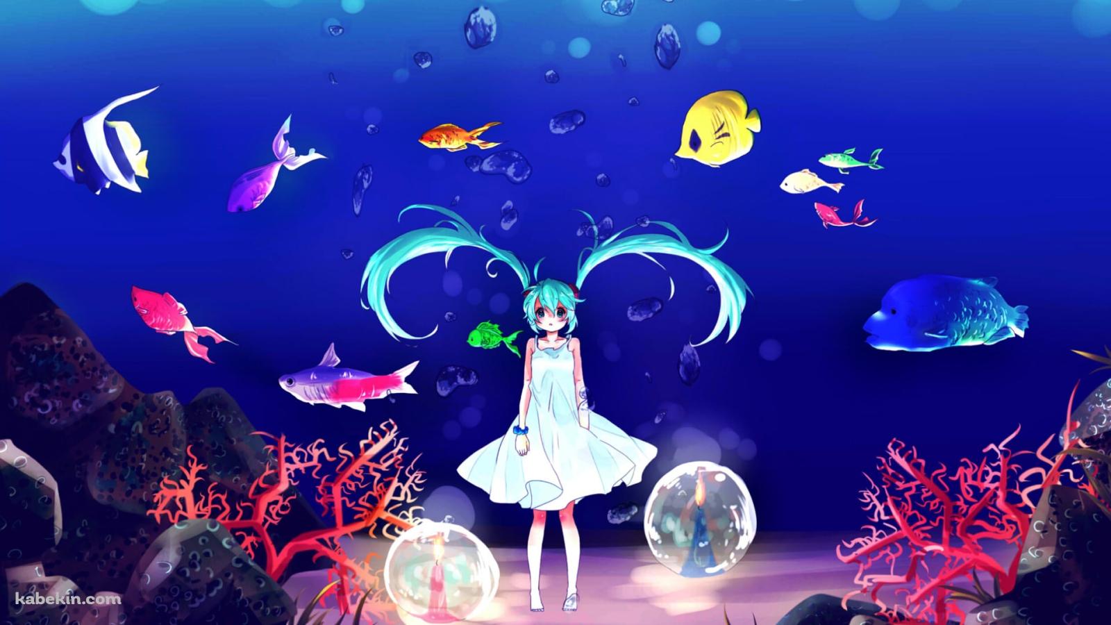 海底に立つ初音ミク / 熱帯魚 / 珊瑚 / ボカロの壁紙(1600px x 900px) 高画質 PC・デスクトップ用