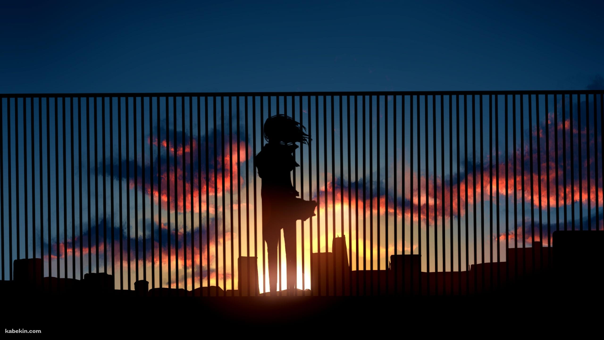 ビルの屋上の柵越しから夕陽を眺める女性の壁紙(2560px x 1440px) 高画質 PC・デスクトップ用