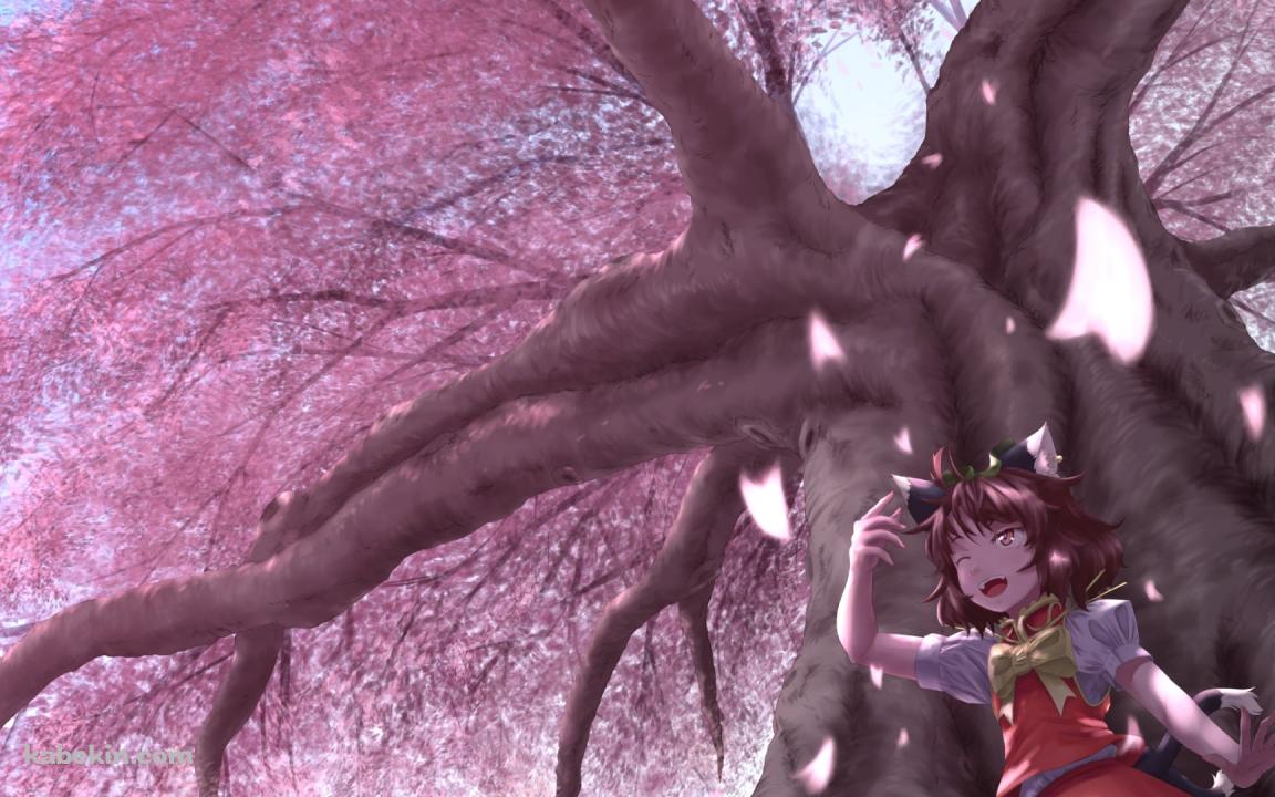 満開の桜と橙 / 東方妖々夢の壁紙(1152px x 720px) 高画質 PC・デスクトップ用