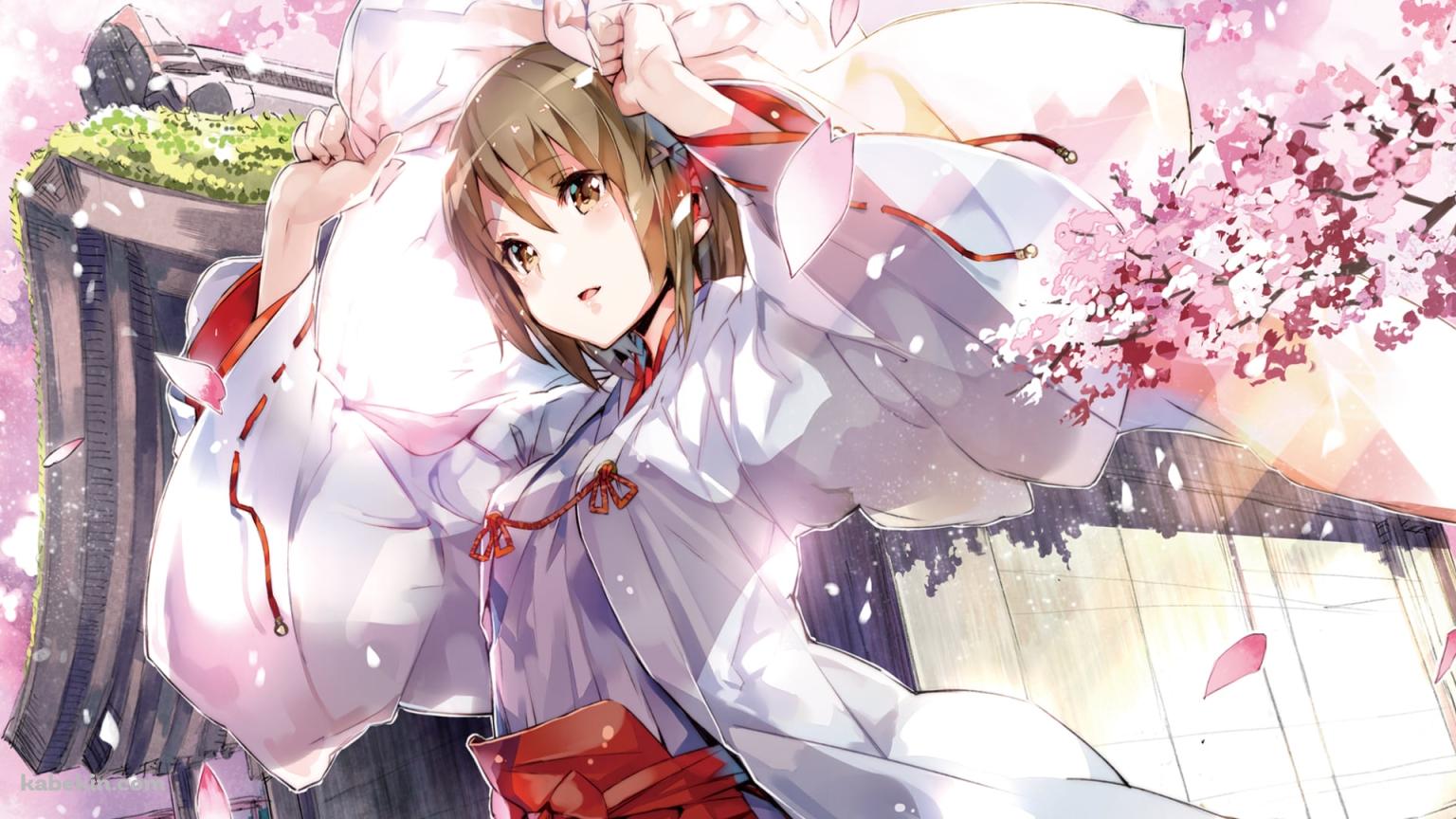 桜と巫女姿の可愛い天女目瑛 / ヨスガノソラの壁紙(1536px x 864px) 高画質 PC・デスクトップ用