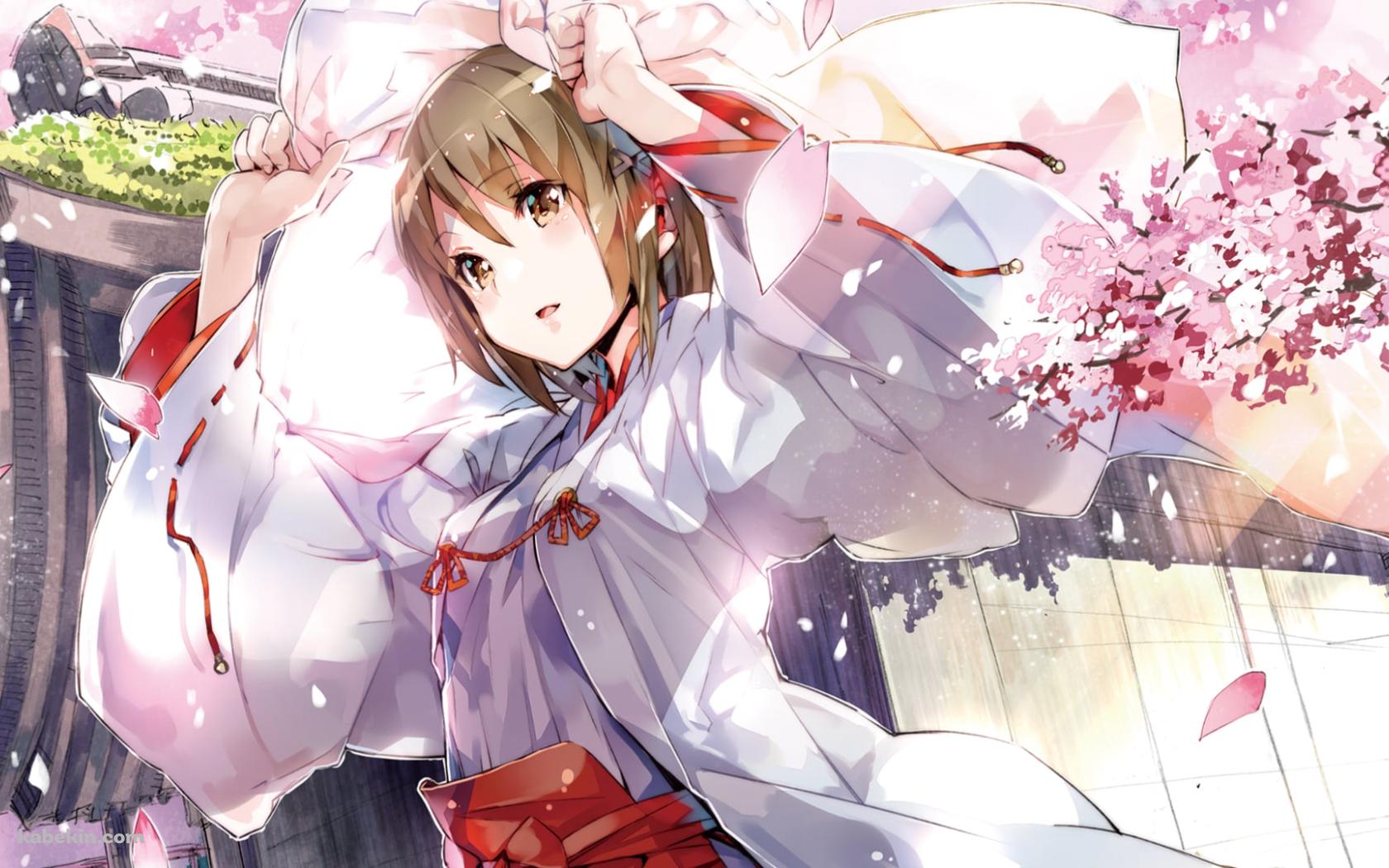 桜と巫女姿の可愛い天女目瑛 / ヨスガノソラの壁紙(1680px x 1050px) 高画質 PC・デスクトップ用
