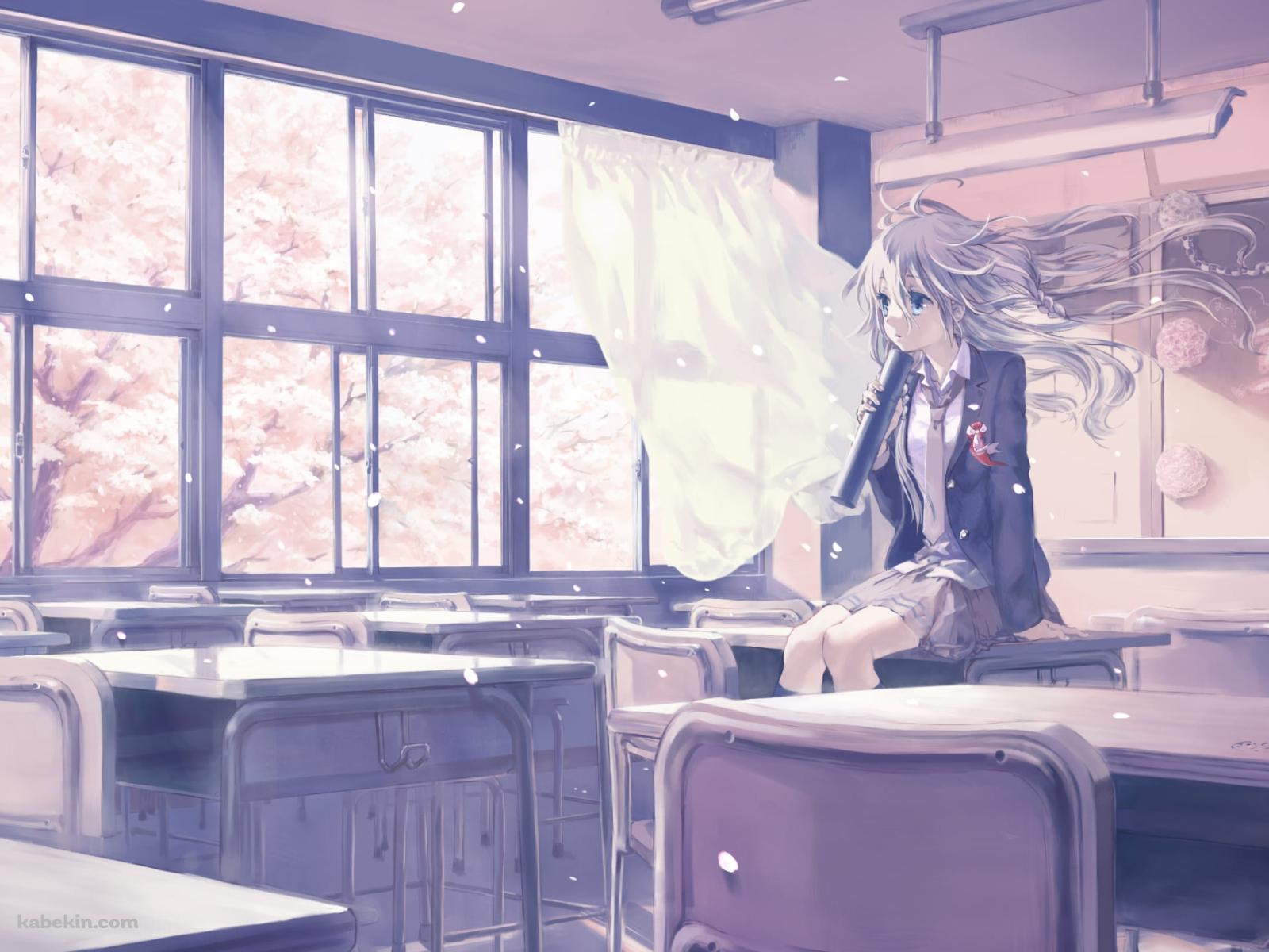 教室で卒業証書を持ち机に座るIA / 桜 / 卒業式 / ボカロの壁紙(1600px x 1200px) 高画質 PC・デスクトップ用