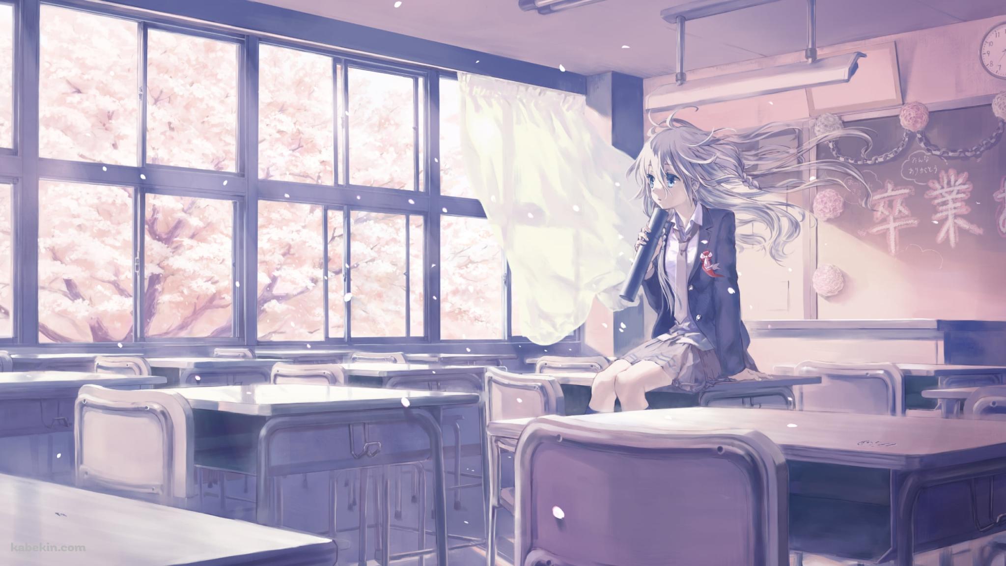 教室で卒業証書を持ち机に座るIA / 桜 / 卒業式 / ボカロの壁紙(2048px x 1152px) 高画質 PC・デスクトップ用