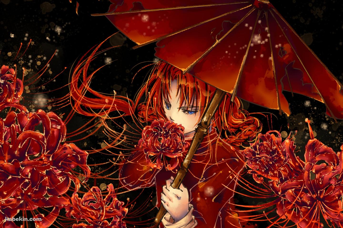 赤い和傘をさす神威 / 彼岸花 / 銀魂の壁紙(1440px x 960px) 高画質 PC・デスクトップ用