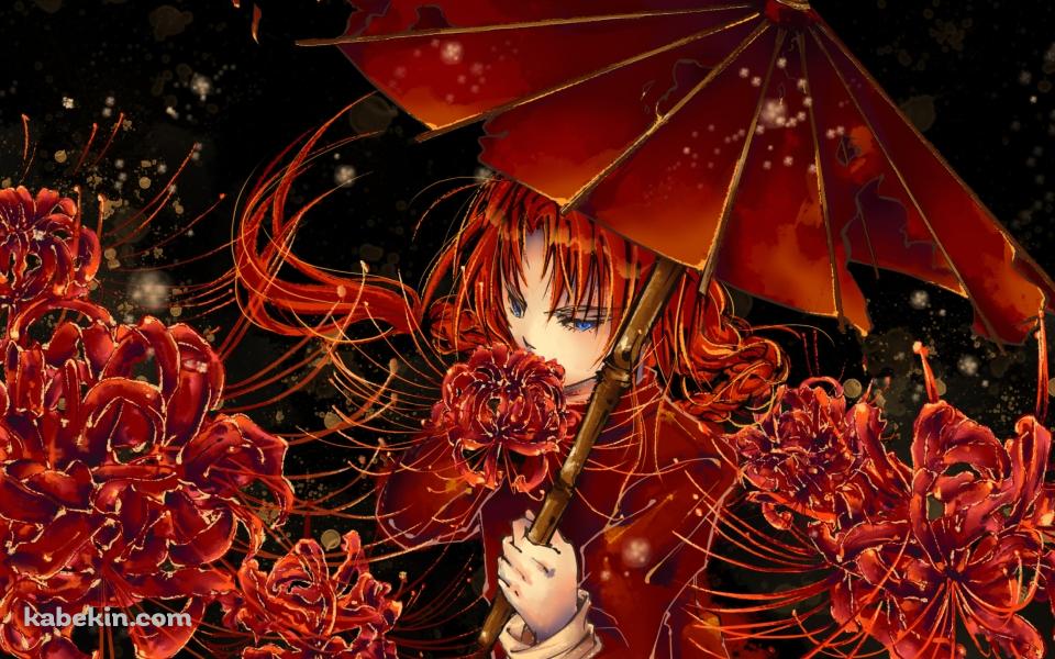赤い和傘をさす神威 / 彼岸花 / 銀魂の壁紙(960px x 600px) 高画質 PC・デスクトップ用