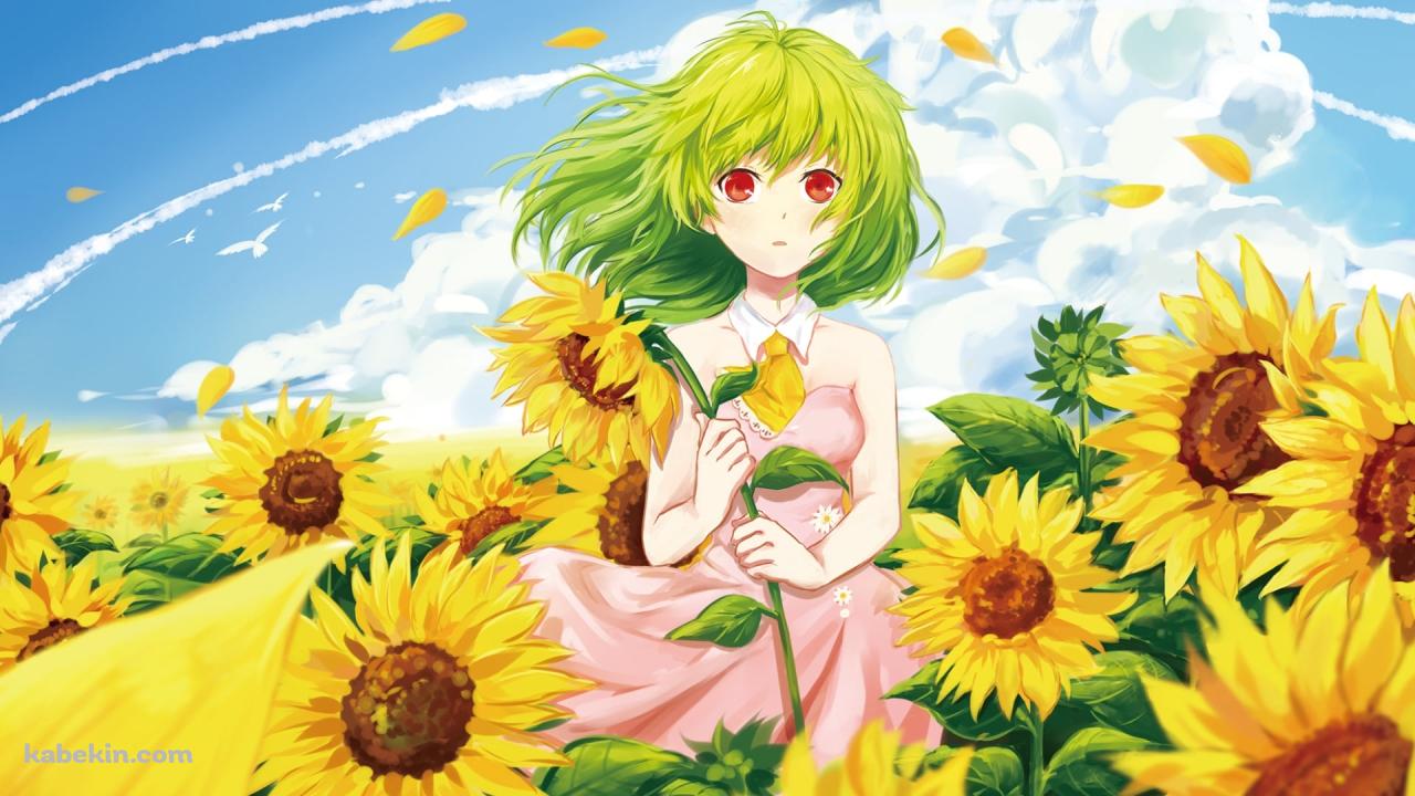 向日葵を持つ風見幽香 / 東方の壁紙(1280px x 720px) 高画質 PC・デスクトップ用