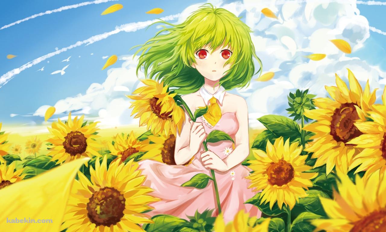 向日葵を持つ風見幽香 / 東方の壁紙(1280px x 768px) 高画質 PC・デスクトップ用