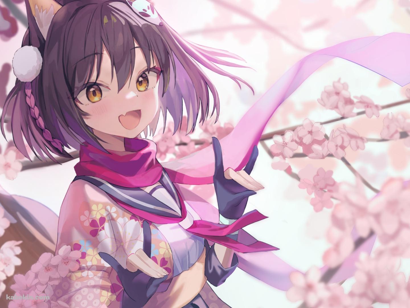 満開の桜と久田イズナ / 忍術研究部 / ブルアカの壁紙(1440px x 1080px) 高画質 PC・デスクトップ用