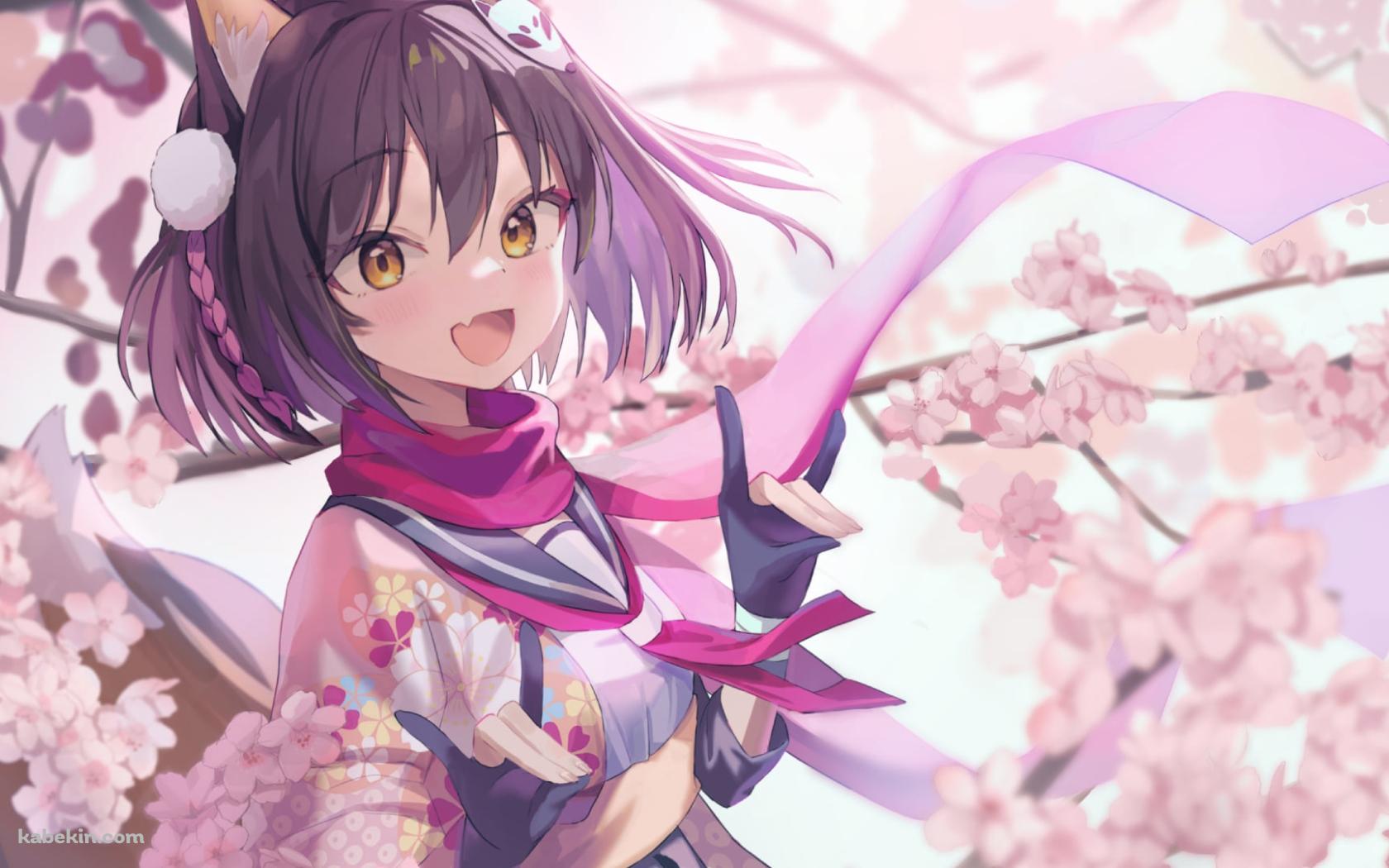 満開の桜と久田イズナ / 忍術研究部 / ブルアカの壁紙(1680px x 1050px) 高画質 PC・デスクトップ用