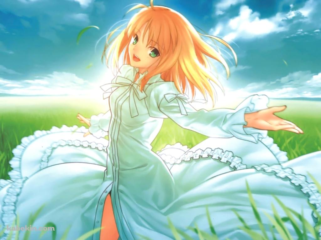 草原で手を広げるセイバー / アルトリア・ペンドラゴン / Fateの壁紙(1024px x 768px) 高画質 PC・デスクトップ用