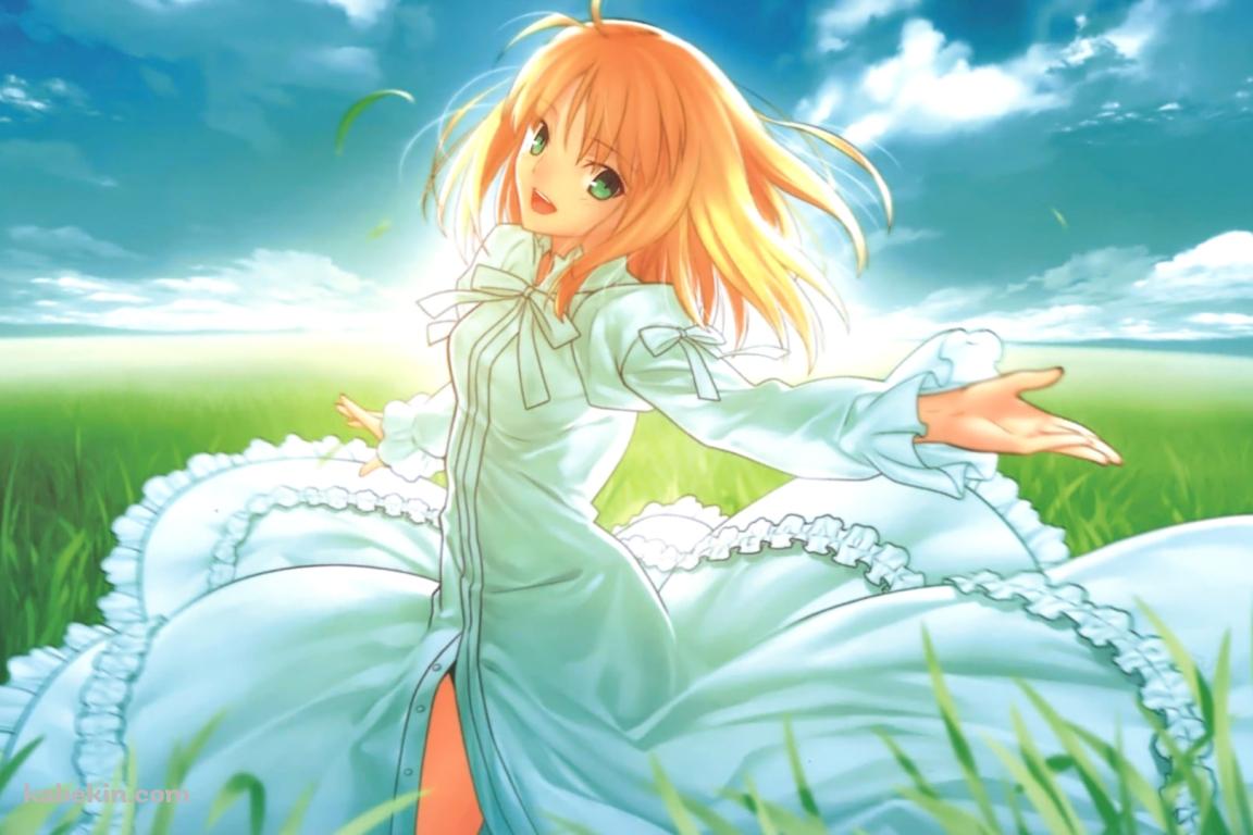 草原で手を広げるセイバー / アルトリア・ペンドラゴン / Fateの壁紙(1152px x 768px) 高画質 PC・デスクトップ用