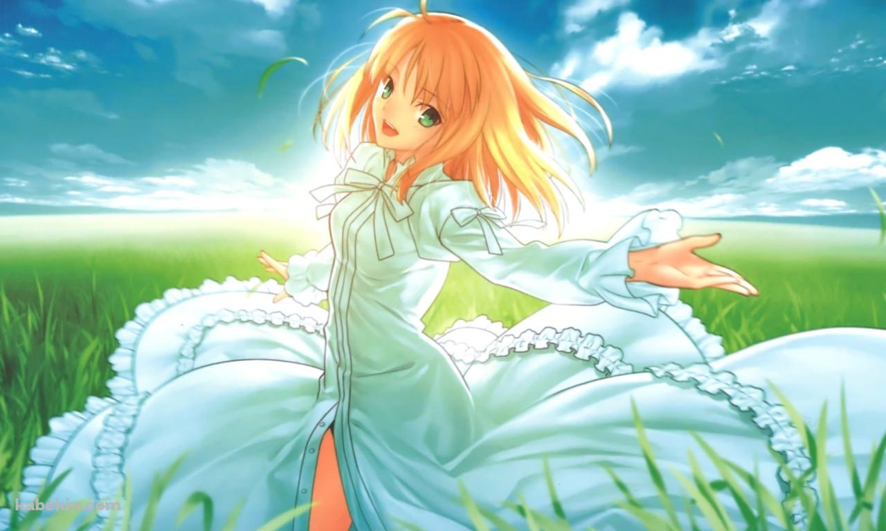草原で手を広げるセイバー / アルトリア・ペンドラゴン / Fateの壁紙(1280px x 768px) 高画質 PC・デスクトップ用