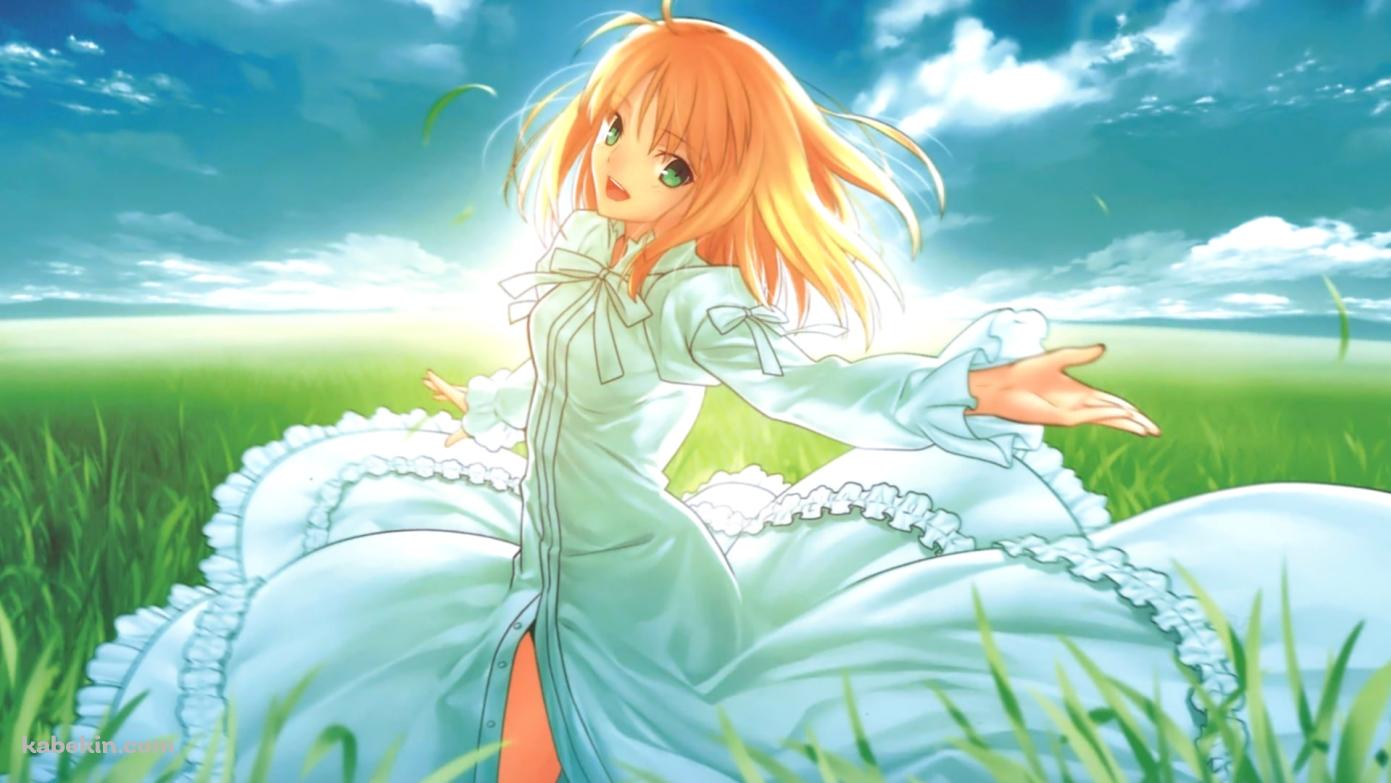 草原で手を広げるセイバー / アルトリア・ペンドラゴン / Fateの壁紙(1391px x 783px) 高画質 PC・デスクトップ用