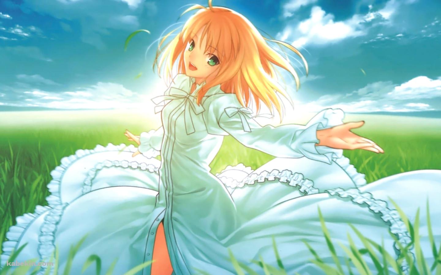 草原で手を広げるセイバー / アルトリア・ペンドラゴン / Fateの壁紙(1440px x 900px) 高画質 PC・デスクトップ用