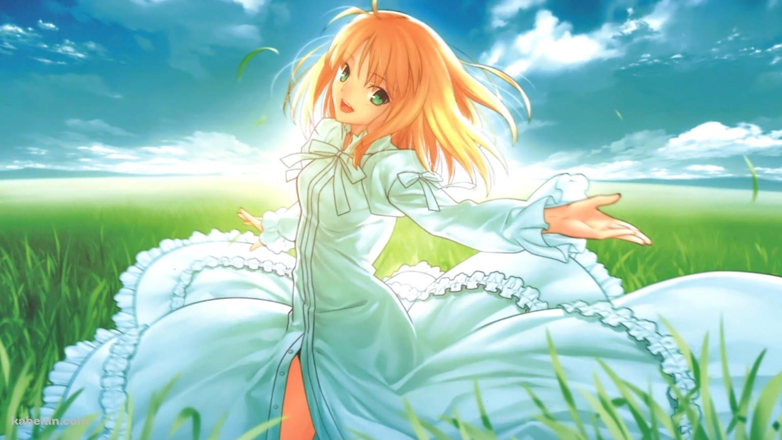 草原で手を広げるセイバー / アルトリア・ペンドラゴン / Fateの壁紙(1536px x 864px) 高画質 PC・デスクトップ用