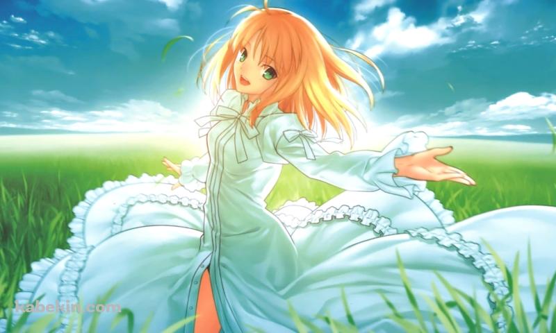 草原で手を広げるセイバー / アルトリア・ペンドラゴン / Fateの壁紙(800px x 480px) 高画質 PC・デスクトップ用
