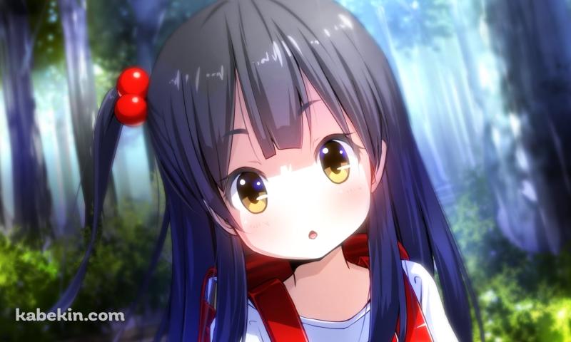 赤いランドセルを背負った北白川あんこ / たまこまーけっとの壁紙(800px x 480px) 高画質 PC・デスクトップ用