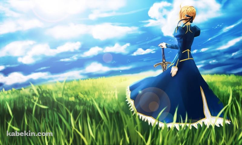 緑の草原に佇み青空を眺めるセイバー / Fateの壁紙(800px x 480px) 高画質 PC・デスクトップ用
